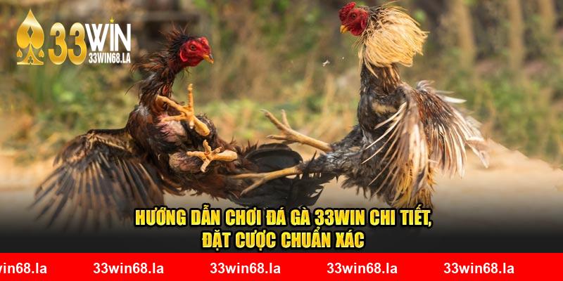 Hướng dẫn chơi đá gà 33WIN chi tiết, đặt cược chuẩn xác